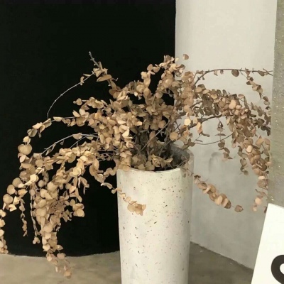 兽设毛发绘画实用教程Furry群